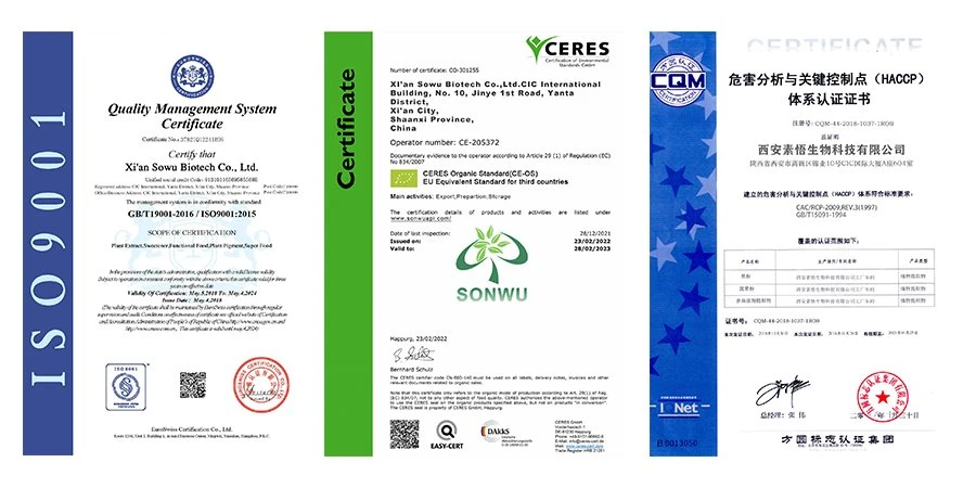 certificate1