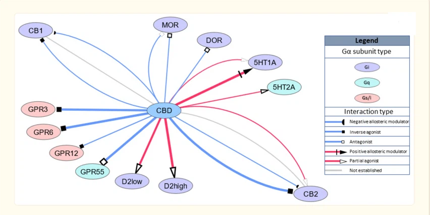 Cannabidiol mechanism of action