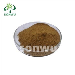 Bestes Turkesteron-Supplement