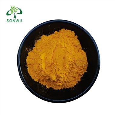 Curcumin-Extrakt-Pulver