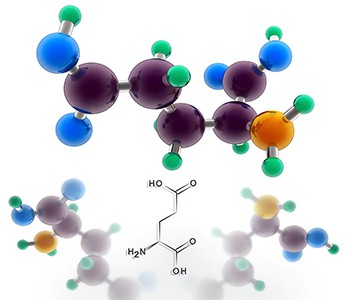 Erregender Neurotransmitter – Glutamat und die Gesundheit des Gehirns