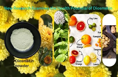 Forscher untersuchen die mögliche Rolle von Diosmetin bei der Bekämpfung von ...
