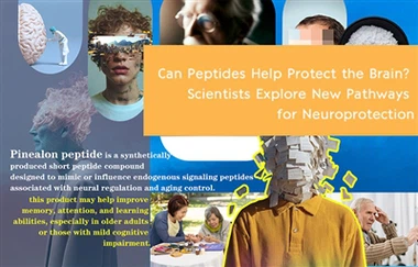 Können Peptide zum Schutz des Gehirns beitragen? Wissenschaftler erforschen n...