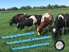 Neue Fortschritte in der Parasitenbekämpfung: Eine Revolution in der Vieh- un...