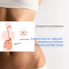 Wissenschaftler konzentrieren sich auf Leaky-Gut-Mechanismen, um die Immunitä...