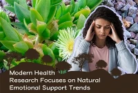 Die moderne Gesundheitsforschung konzentriert sich auf natürliche Trends zur ...