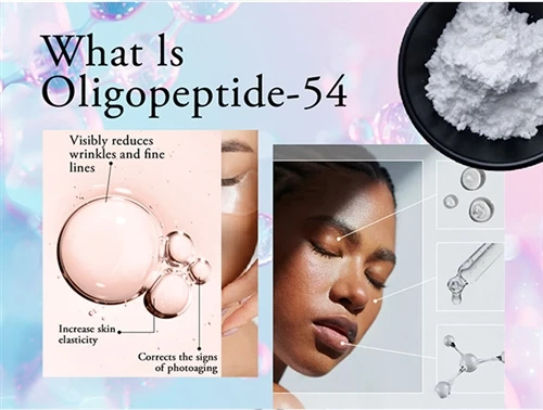 Wie wirken biomimetische Peptide in der Anti-Aging-Forschung auf Apoptose ein?