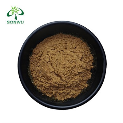 Löwen Mähneextrakt Schüttung